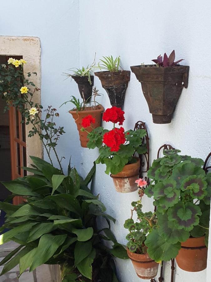 Rua Das Rosas 22/B&B Figueira da Foz Kültér fotó