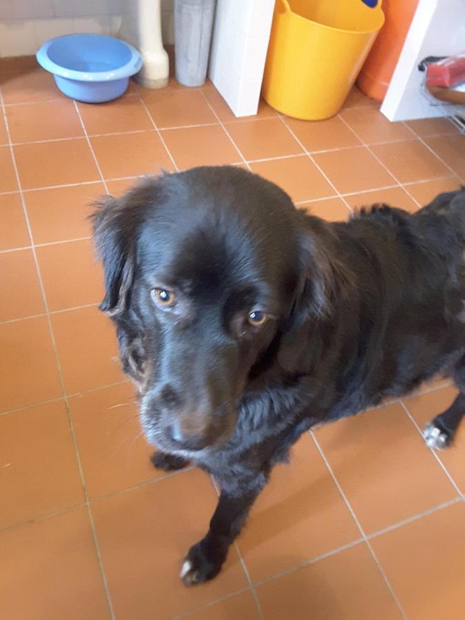 Rua Das Rosas 22/B&B Figueira da Foz Kültér fotó